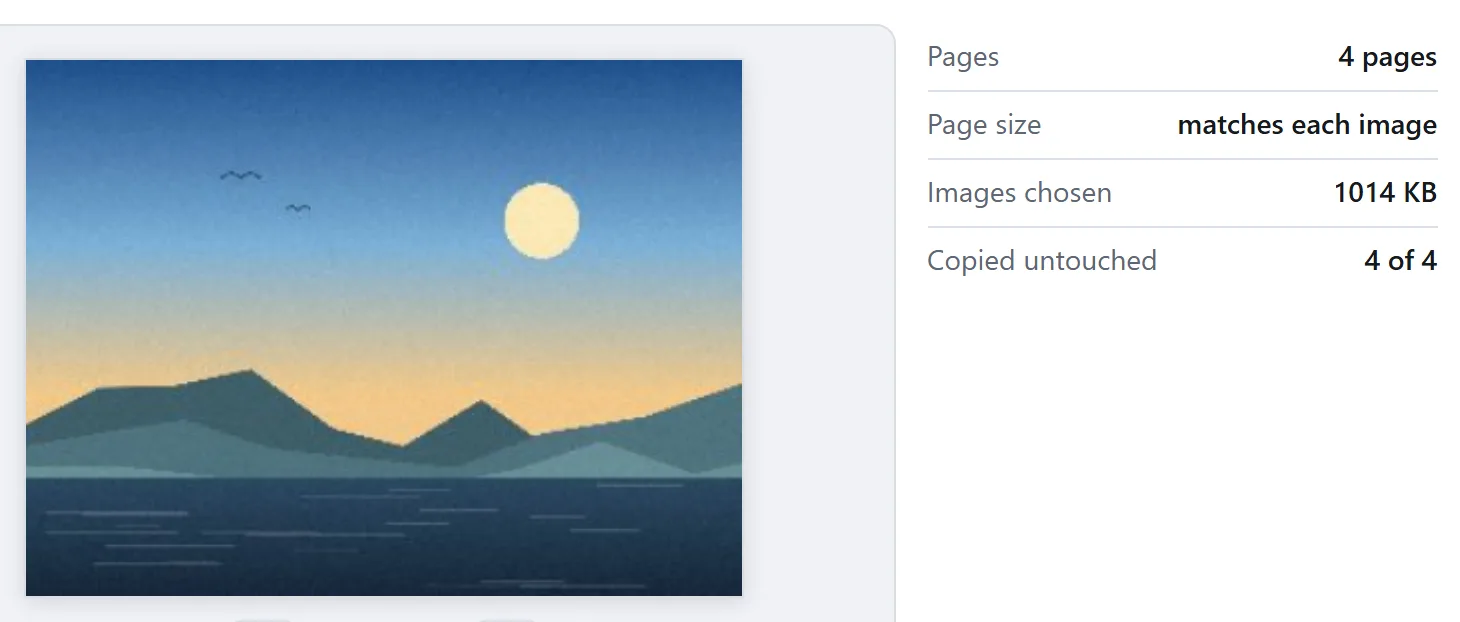 A preview of the first page of the PDF, with a summary beside it: four pages, page size matching each image, and four of four images copied untouched.