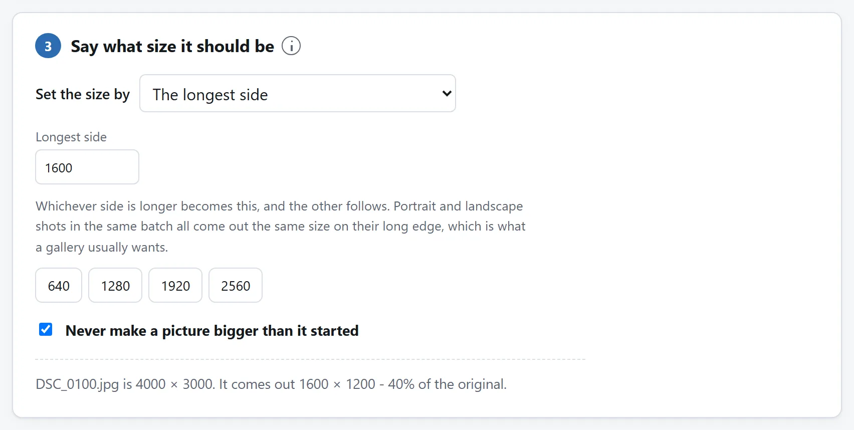 The Image Resizer set to resize by longest side, with 1600 entered, and preset long edges beside it.