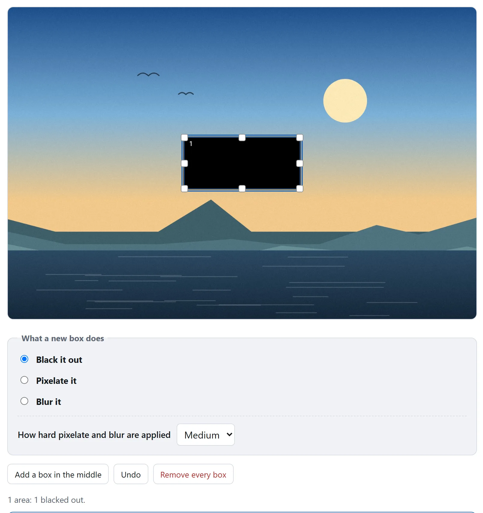 The editor: a photograph with a solid box over part of it, a choice of black, pixelate or blur, a strength slider, and a summary of the regions marked.