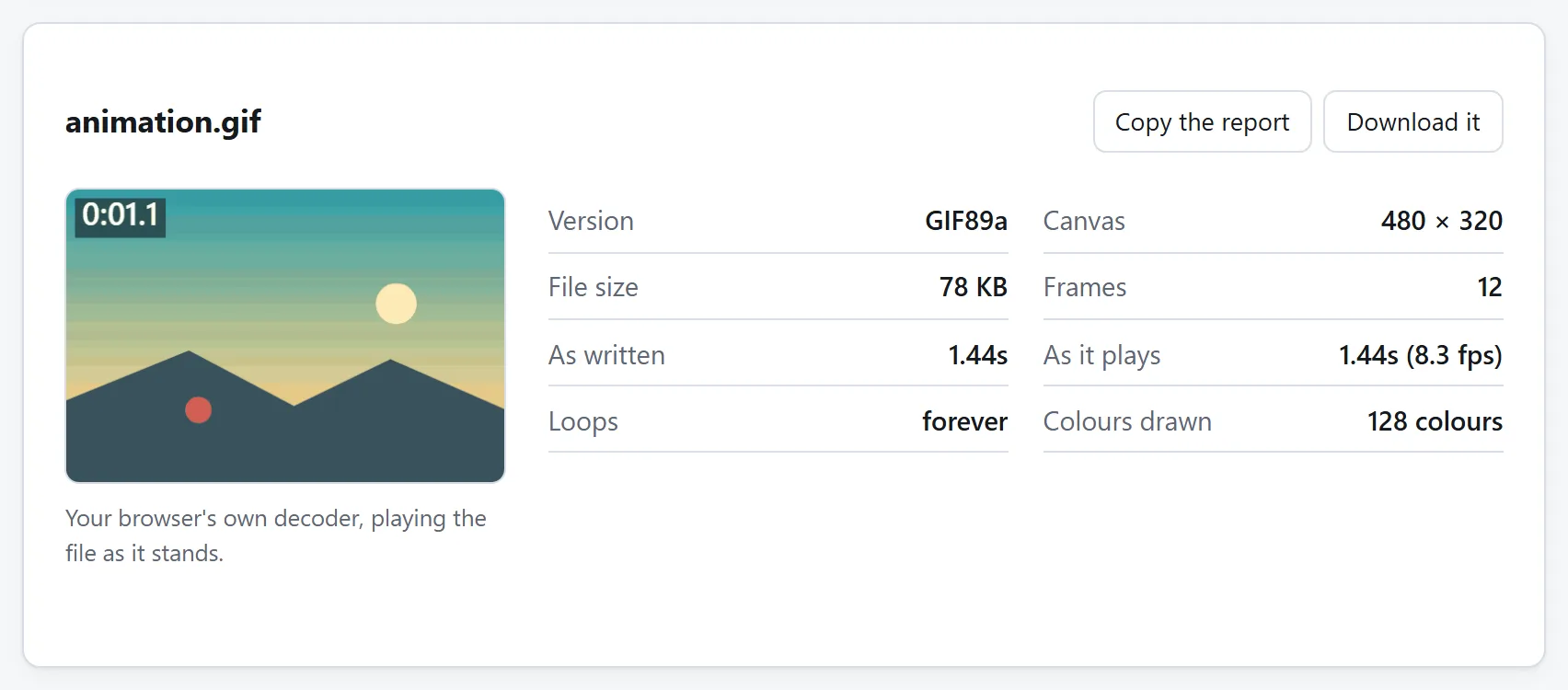 The summary card for a GIF: its version, canvas size, file size, frame count, how many times it loops, and how many colours it uses.